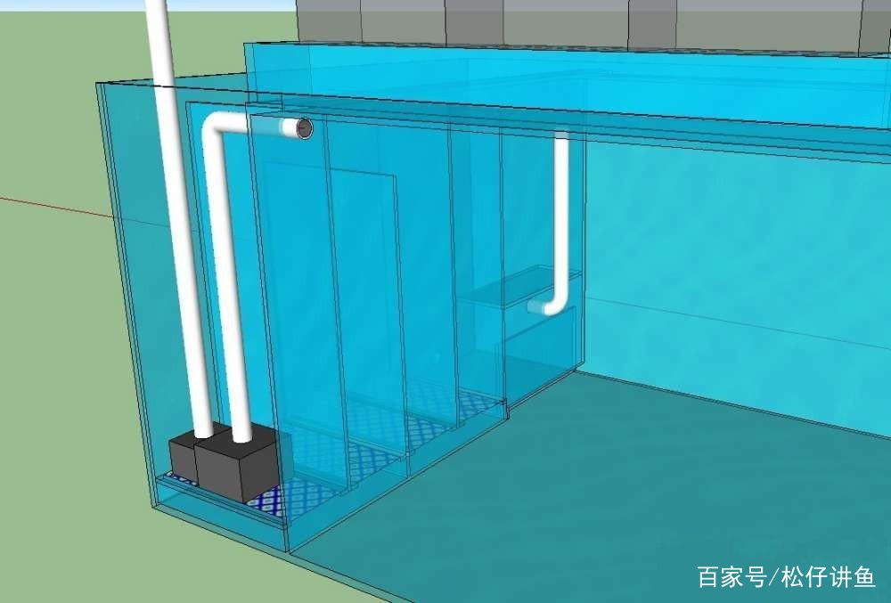 側(cè)濾魚缸好還是上濾魚缸好：側(cè)濾魚缸和上濾魚缸優(yōu)缺點(diǎn)分析側(cè)濾魚缸和上濾魚缸優(yōu)缺點(diǎn) 魚缸百科 第4張