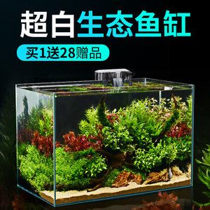 玻璃魚缸造景微生物：玻璃魚缸造景中的微生物 魚缸百科 第1張