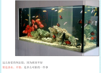 玻璃膠可以做魚(yú)缸嗎：p玻璃膠粘魚(yú)缸的注意事項(xiàng) 魚(yú)缸百科 第2張