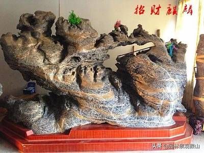 帶假山的魚缸：diy自制魚缸假山指南 魚缸百科 第2張