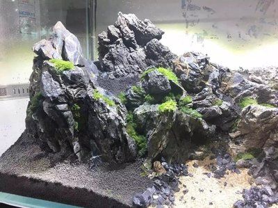 純石頭造景魚缸：如何選擇適合的山石做魚缸造景？ 魚缸百科 第4張