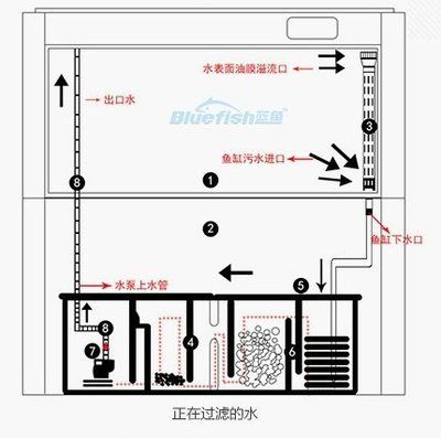 成品魚缸改底濾