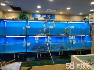 超市魚缸價格多少：超市魚缸價格因尺寸、材質(zhì)、功能等因素有所不同 魚缸百科 第2張