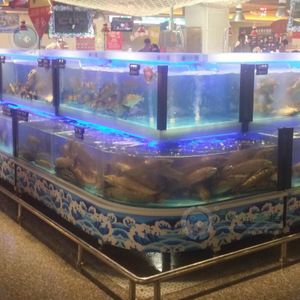 超市魚缸價格多少：超市魚缸價格因尺寸、材質(zhì)、功能等因素有所不同 魚缸百科 第3張