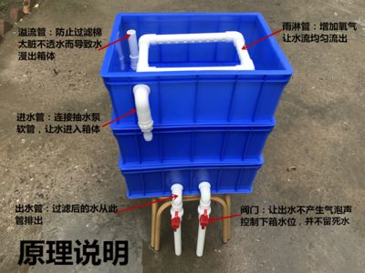 不用水泵的魚缸過(guò)濾器制做方法：diy魚缸過(guò)濾器制作注意事項(xiàng) 魚缸百科 第3張