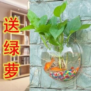 帶我去魚缸咖啡店英語怎么說：\takemetothefish