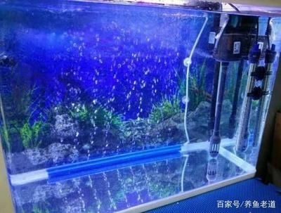 玻璃魚缸會自己爆裂嗎為什么：如何預防玻璃魚缸爆裂 魚缸百科 第1張