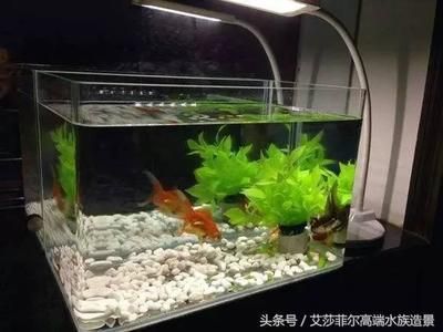 玻璃魚缸會自己爆裂嗎為什么：如何預防玻璃魚缸爆裂 魚缸百科 第2張