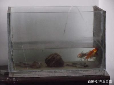 玻璃魚(yú)缸會(huì)自己爆裂嗎為什么：如何預(yù)防玻璃魚(yú)缸爆裂 魚(yú)缸百科 第3張