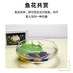 玻璃園魚缸價(jià)格多少：如何選擇合適的玻璃園魚缸？ 魚缸百科 第3張