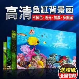 金龍魚缸價格多少：金龍魚缸價格多少金龍魚缸價格多少金龍魚缸價格信息