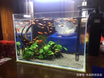 大家都用什么擦魚缸內(nèi)壁：如何清洗魚缸內(nèi)壁