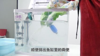 拆魚缸如何清理膠：如何清理魚缸拆卸后的膠痕 魚缸百科 第2張