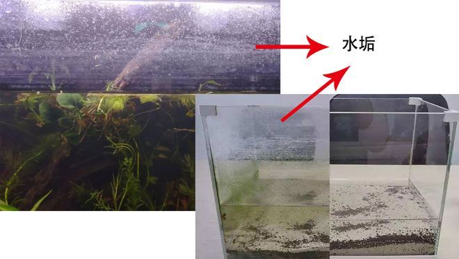 拆魚缸如何清理膠：如何清理魚缸拆卸后的膠痕 魚缸百科 第3張