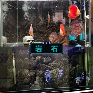 單面玻璃魚缸好嗎安全嗎：?jiǎn)蚊娌Ａ~缸的安全性 魚缸百科 第3張