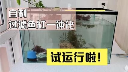 大魚缸制作方法視頻：大型魚缸制作方法