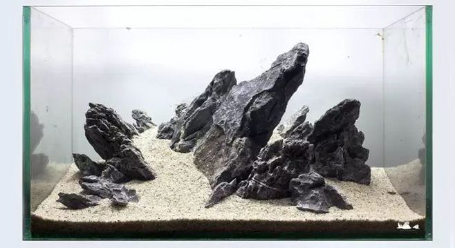 白石頭魚缸造景效果圖：白石頭在魚缸造景中的作用 魚缸百科 第1張