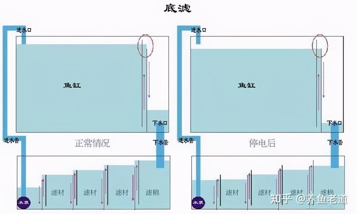 大型魚缸底濾遇停電怎么辦：大型魚缸底濾停電后的處理方案：大型魚缸底濾停電后的處理方法