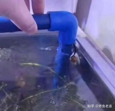 大型魚缸底濾遇停電怎么辦：大型魚缸底濾停電后的處理方案：大型魚缸底濾停電后的處理方法