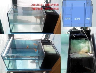 帶蓋子魚缸怎么裝過濾：帶蓋子的魚缸安裝過濾器可以通過以下三種方式進行 魚缸百科 第3張