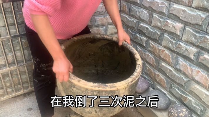 不用換水的生態(tài)魚缸的制作方法有哪些 魚缸百科 第2張