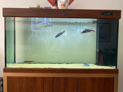 成品魚(yú)缸改造升級(jí)方案：成品魚(yú)缸改造升級(jí)之過(guò)濾升級(jí) 魚(yú)缸百科 第3張