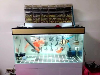 成品魚缸上濾改造最佳方法：魚缸上濾改造方式