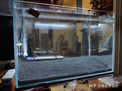 超白魚缸品牌推薦知乎：超白魚缸品牌推薦