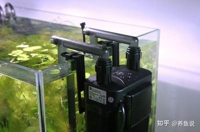 成品小魚缸上蓋整個能拆掉么：成品小魚缸的上蓋可以拆卸嗎 魚缸百科 第1張