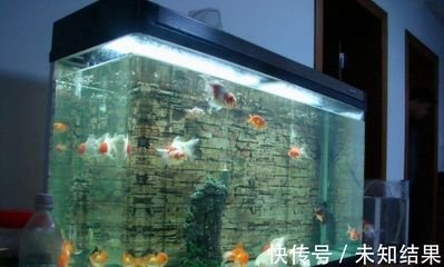 不能送人魚缸是什么意思：為什么魚缸不能送人？