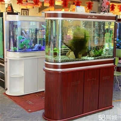 大型魚缸回收價格多少錢：關(guān)于大型魚缸回收的價格 魚缸百科 第3張