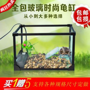 大魚(yú)缸定制：大型魚(yú)缸定制服務(wù) 魚(yú)缸百科 第4張