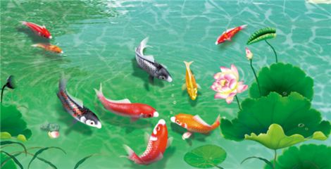 龍魚(yú)心情愉悅是什么表現(xiàn)：龍魚(yú)心情愉悅時(shí)的一些表現(xiàn)