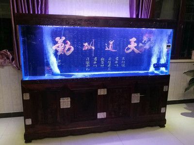 大城魚缸廠家：大城縣位吉天誠水族用品廠和匯祥水族生活館-高端魚缸設(shè)計定制中心