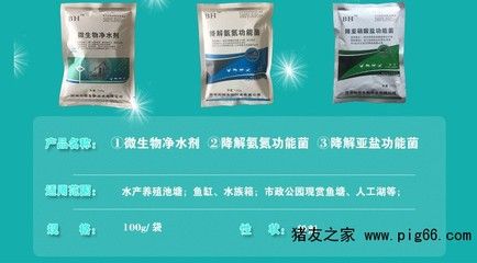 冬天魚缸水渾濁的原因是什么：冬天魚缸水渾濁的原因及其他季節(jié)有所不同，養(yǎng)魚愛好者必備的知識 魚缸百科 第4張