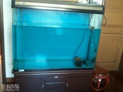 搬新家舊魚缸怎么處理：搬家時魚缸如何處理 魚缸百科 第3張