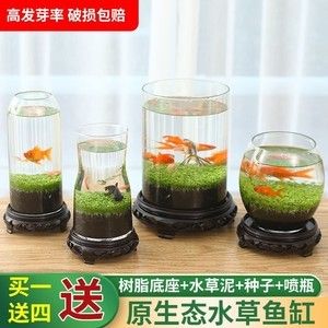 玻璃瓶做魚缸怎么做：如何用玻璃瓶制作魚缸 魚缸百科 第3張