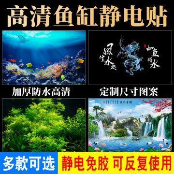 定做觀賞魚缸多少錢：定做觀賞魚缸價(jià)格受多種因素影響