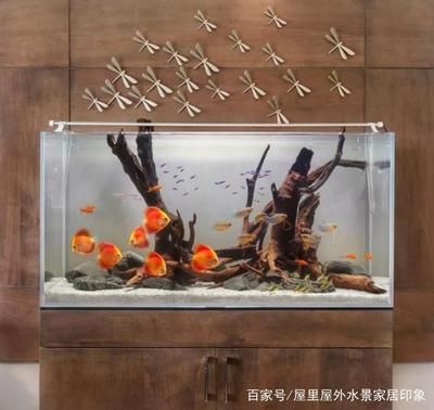 成品底濾魚缸：如何選擇成品底濾魚缸 魚缸百科 第3張