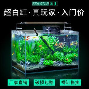 超白缸養(yǎng)龍魚好不好養(yǎng)活 龍魚百科 第1張