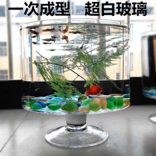 玻璃圓柱魚缸：如何選擇合適的玻璃圓柱魚缸 魚缸百科 第4張