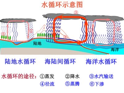 大型魚缸水循環(huán)示意圖高清：關于魚缸水循環(huán)系統(tǒng)的一般信息 魚缸百科 第4張