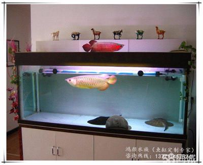 搬魚缸上6樓：如何搬魚缸上6樓 魚缸百科 第3張