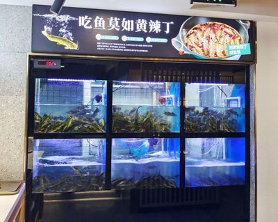 巴南哪里有魚(yú)缸賣的實(shí)體店：巴南區(qū)有哪些魚(yú)缸實(shí)體店？ 魚(yú)缸百科 第1張