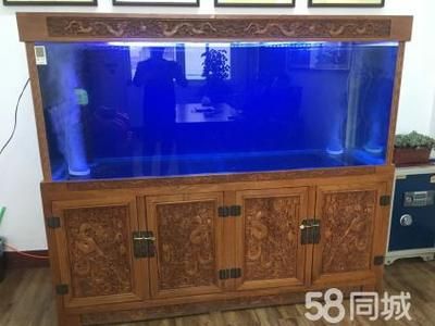 大型魚缸用什么消毒好：高溫暴曬、高錳酸鉀溶液是一種常用的消毒劑可以提高消毒效果 魚缸百科 第1張