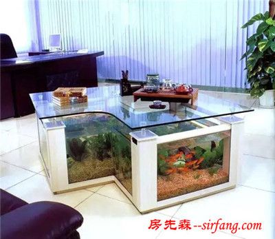 玻璃小魚缸養(yǎng)什么魚好：哪些魚適合在玻璃小魚缸中飼養(yǎng)？ 魚缸百科 第3張