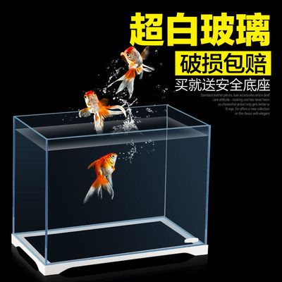 斗魚(yú)缸可以放什么水草：如何選擇斗魚(yú)缸？ 魚(yú)缸百科 第1張