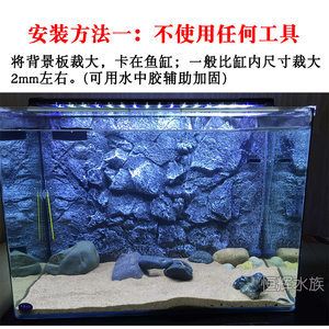 斗魚換魚缸要怎么換：斗魚換魚缸技巧大揭秘斗魚繁殖技巧大揭秘斗魚繁殖技巧 魚缸百科 第1張