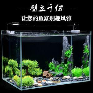 大魚缸如何造景好看又簡單視頻：大魚缸造景教程 魚缸百科 第3張