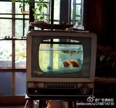 大型魚缸廢物利用圖：大型魚缸的廢物利用 魚缸百科 第4張